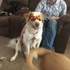 mistjeff